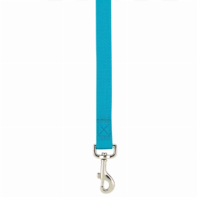 CC Lead 6FtX1In Blu
