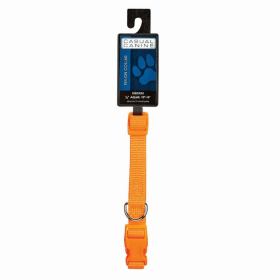 CC Dog Collar 10-16In Org