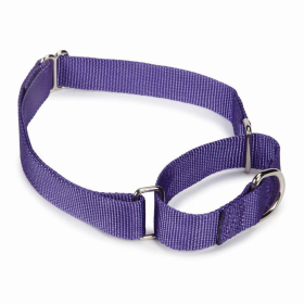 GG Nylon Martingale Collar 14-20In Pur