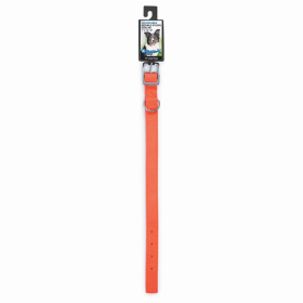 DGR 1in Nylon Collar 18in Neon Org