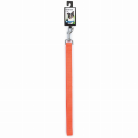 DGR 1in Nylon Lead 48in Neon Org
