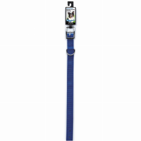 DGR 1in Dbl Nylon Collar 24in Blue