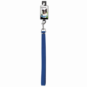 DGR 3/4in Nylon Lead 48in Blue
