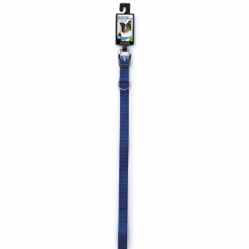 DGR 3/4in Nylon Collar 20in Blue