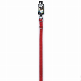 DGR 3/4in Nylon Collar 16in Red