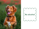 Mr. Peanut's Naturals Pet Wipes