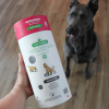 3-in-1 Enrichment Tube for Dogs - Tug Toy, Treat Dispenser & Snuffle Ball - Lavender