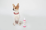4.5 Oz. Dog Coat Spray Geranium Sage