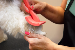 Flat Coral Medium Pet Slicker Brush