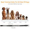 Dog Bark Collar IP67 Waterproof Rechargeable Dog
