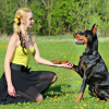 Dog Bark Collar IP67 Waterproof Rechargeable Dog
