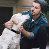 Dog Bark Collar IP67 Waterproof Rechargeable Dog
