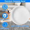Heated Water Bowl For Dogs And Cats Ceramic Heated Pet