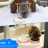 Heated Water Bowl For Dogs And Cats Ceramic Heated Pet