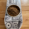 BoomBox - Elevated Skateboard Dog Feeding Stand with 2 Bowls
