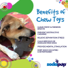 Gingerbread Man Nylon Dog Chew Toy for Aggressive Chewers
