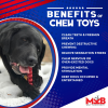 Christmas Tree Nylon Dog Chew Toy for Aggressive Chewers  & FDA Compliant