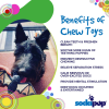 Vampire Bat Nylon Dog Chew Toy for Aggressive Chewers  & FDA Compliant