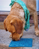 Large Blue Jigsaw & Large Pink Jigsaw eMat Lick Mat Bundle