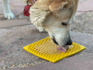 Large Blue Jigsaw & Large Yellow Honeycomb eMat Lick Mat Bundle