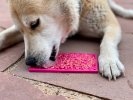 Small Pink Flower Power & Small Yellow Honeycomb eMat Lick Mat Bundle