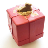 Gift Box eDispenser - Durable Rubber Treat Dispenser for Dogs