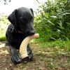 Flufflehorn Dental Antler - Indestructible Nylon Dog Chew Toy