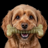 Tough Bone Nylon Chew Bone | Ultra-Durable Dog Toy for Aggressive Chewers