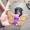 Butterfly Nylon Chew & Enrichment Toy | 2-in-1 for Aggressive Chewers