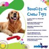 Candy Cane Nylon Dog Toy for Aggressive Chewers