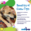 Flower Tower Nylon Chew Toy for Aggressive Chewers  Enrichment Toy
