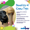 Honey Bone Dental Tower Nylon Chew Toy for Aggressive Chewers