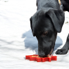 Canadian Maple Leaf Nylon Dog Chew Toy