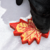 Canadian Maple Leaf Nylon Dog Chew Toy