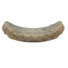 Potato Chip Nylon Chew & Enrichment Toy | 2-in-1 for Aggressive Chewers