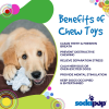 Snowflake Nylon Dog Chew Toy for Aggressive Chewers  & FDA Compliant