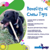 Durable Nylon Chew Stick for Power Chewers | Indestructible Dog Toy