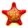 Starfish Nylon Dog Chew Toy for Aggressive Chewers