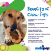 Chicken Flavored Teething Ring for Puppies & Aggressive Chewers