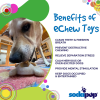 Turtle Nylon Chew Toy - Ultra-Durable Enrichment Toy