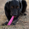 Unicorn Horn Nylon Dog Chew Toy | Durable for Aggressive Chewers