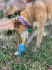 Petz Yak Chew Holder - Durable Rubber Holder for Yak Chews & Bully Sticks