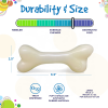 PUP-X Rubber Bone Dog Toy - Durable, Floats, Chew Toy