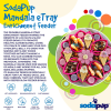Mandala eTray Shallow Slow Feeder Dog Bowl for Enrichment