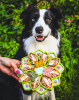 Mandala eTray Shallow Slow Feeder Dog Bowl for Enrichment