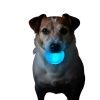 Strobe Ball Light-Up Dog Toy - Durable Floating Chew Ball