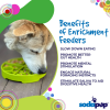 Four Seasons eTray - Shallow Slow Feeder Dog Bowl for Enrichment