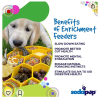 Honeycomb eBowl Deep Slow Feeder Dog Bowl for Enrichment