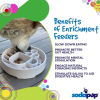 Java eBowl Deep Slow Feeder Dog Bowl for Enrichment
