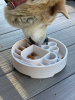 Java eBowl Deep Slow Feeder Dog Bowl for Enrichment